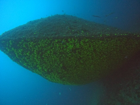 Atlantic Star Nautical Center-圣塔玛丽亚必去景点