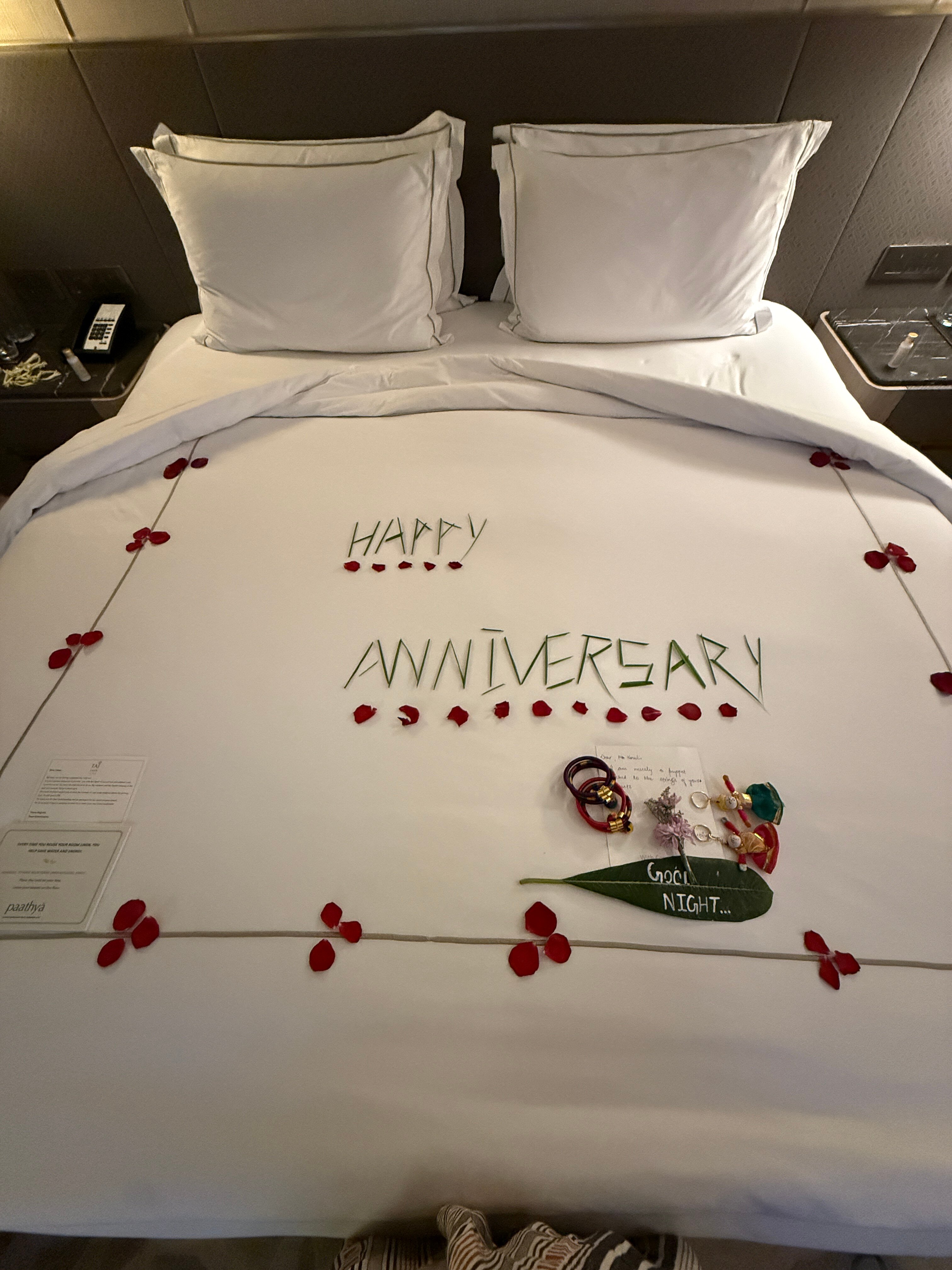 Taj Amer, Jaipur-客卧