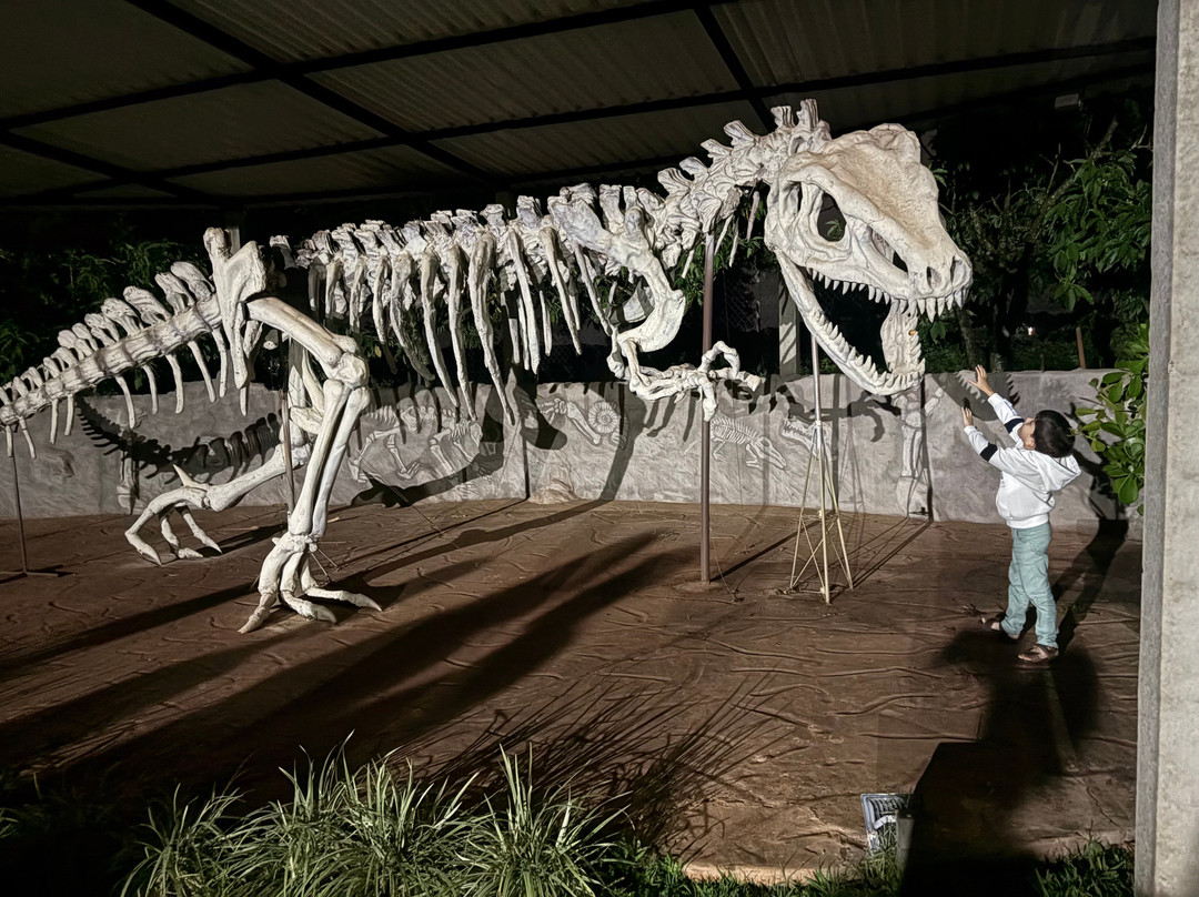 CEU - Centro de Estudos do Universo-Brotas必去景点