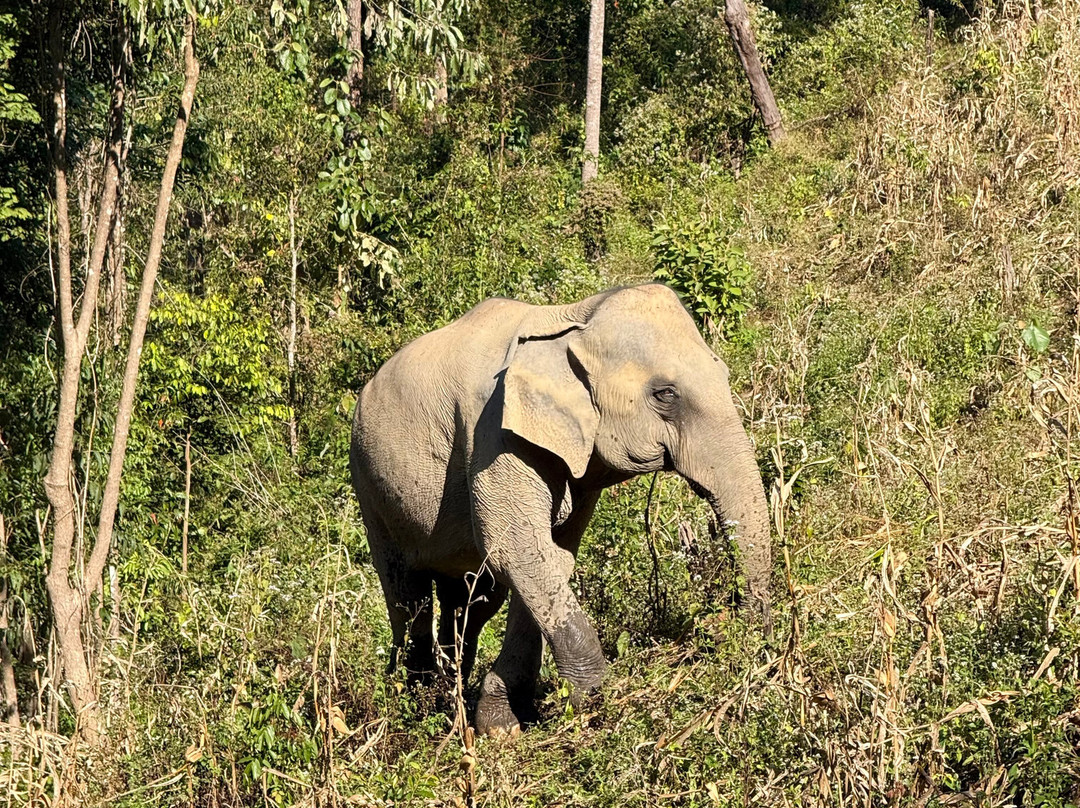 Chang Chill-Mae Win必去景点