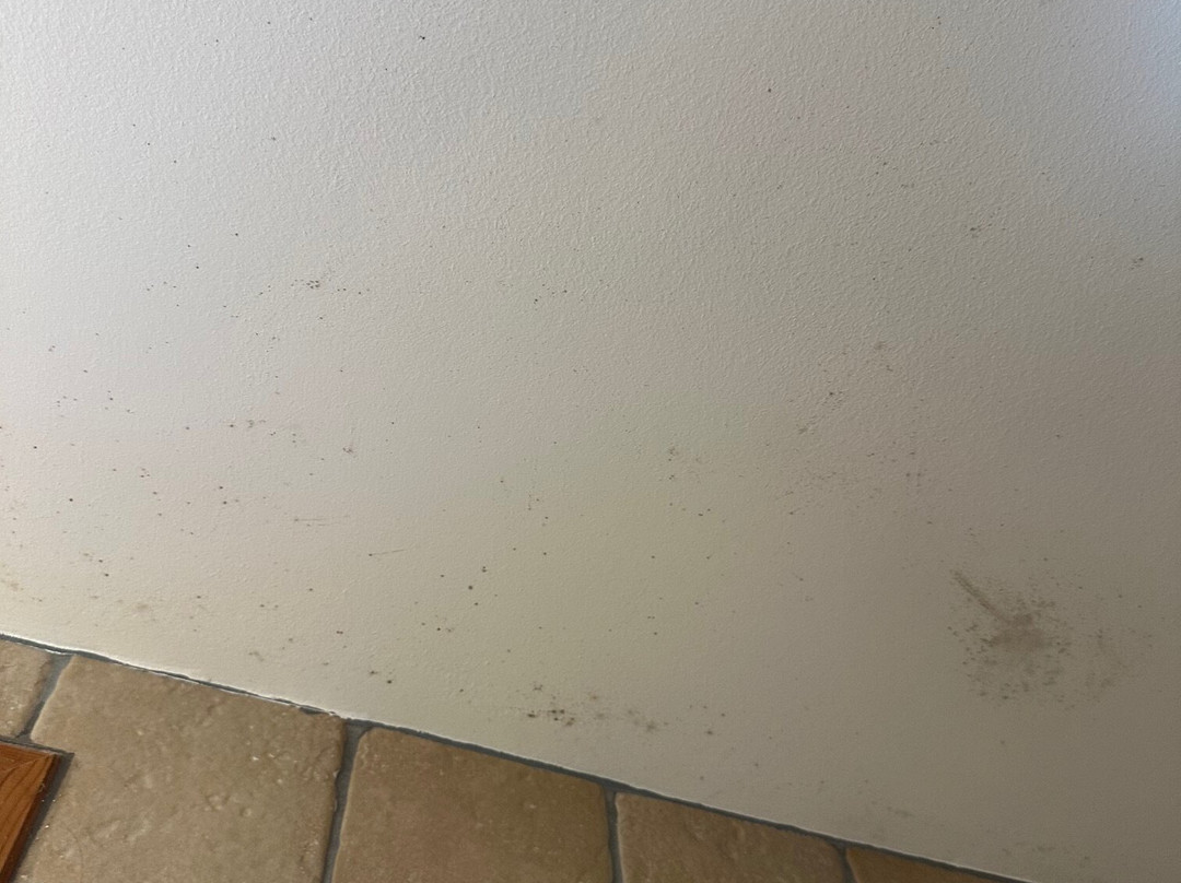 Auberge du Manoir主图