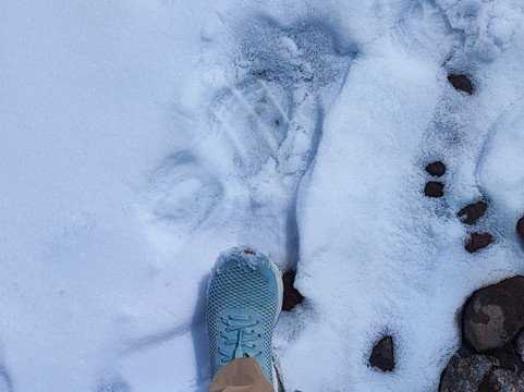 Quilla Tour Ec-基多必去景点