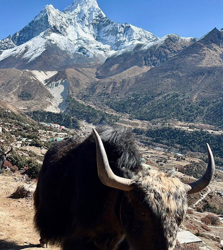 Naturestride Mountain Adventure-加德满都必去景点