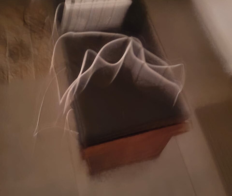 The Jungle Pool主图