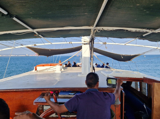 Dolphin Excursions Djibouti-吉布地必去景点