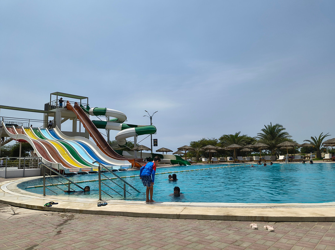 Dromedarius-伊卡必去景点