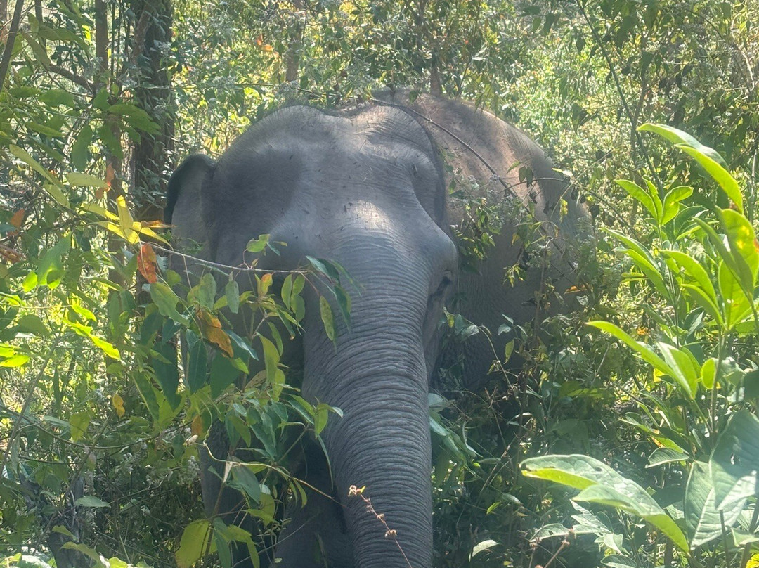 Chang Chill-Mae Win必去景点