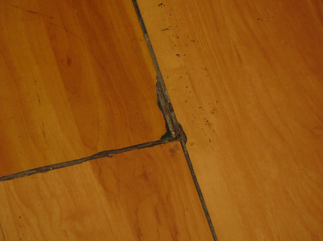 Red Roof Inn Cleveland - Medina主图