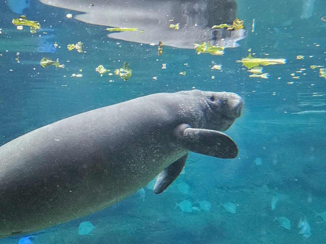 哥伦布动物园-Powell必去景点