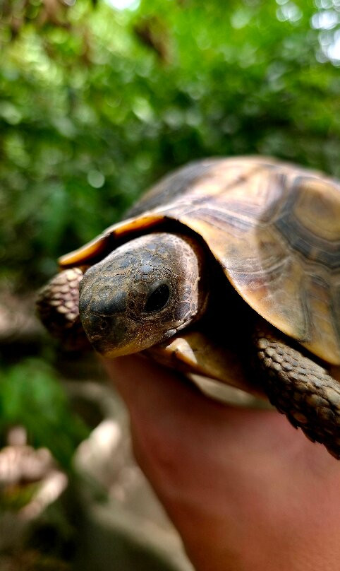 Arch Tours-Kololi必去景点
