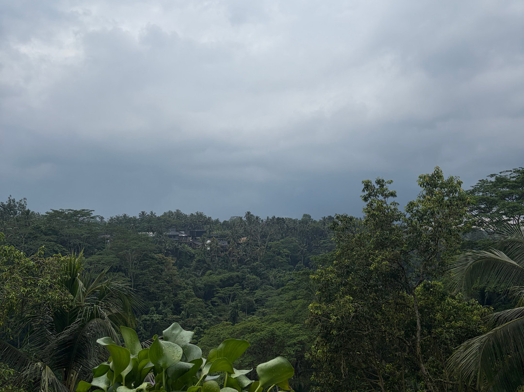 Wanna Jungle Pool and Bar-佩艳艮必去景点