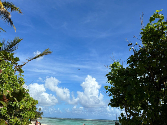 Blue Pearl-瓜德罗普岛必去景点