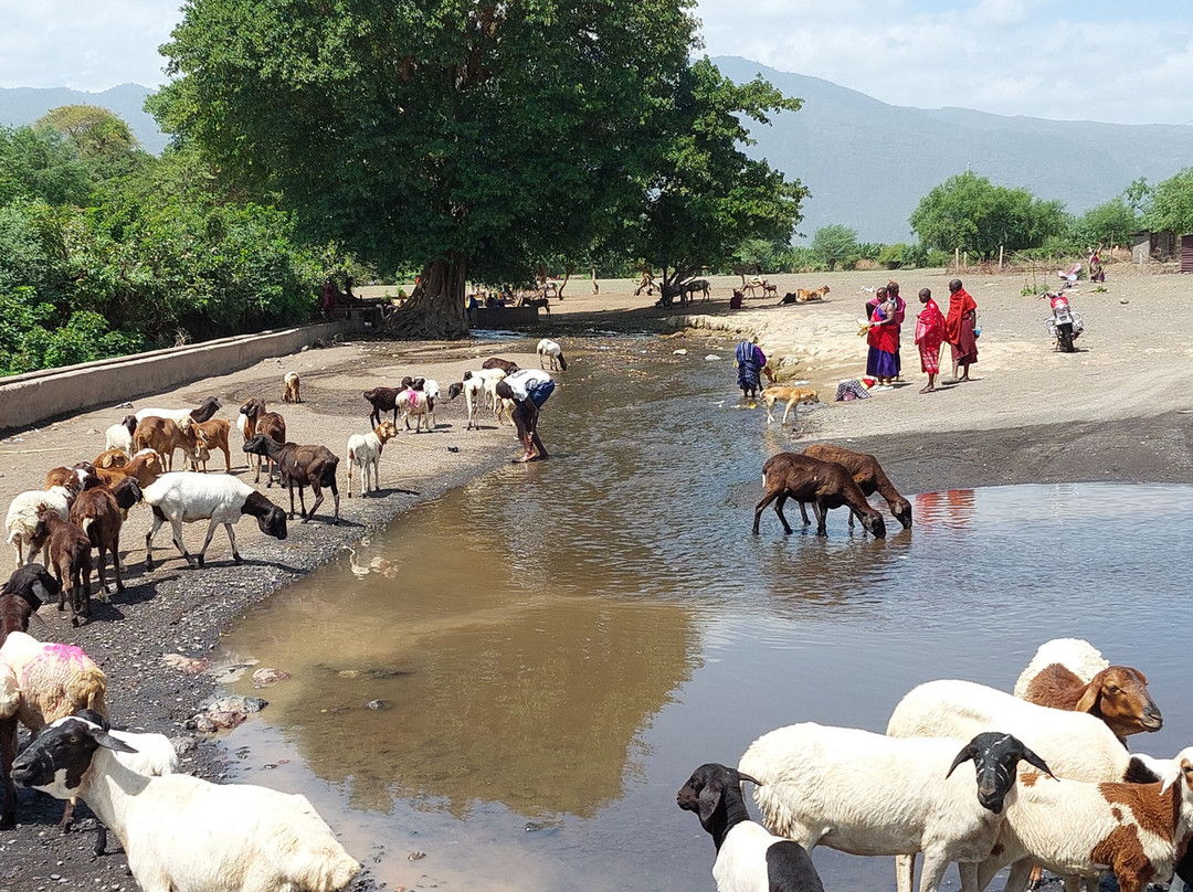 Tanzania-Experience-阿鲁沙必去景点