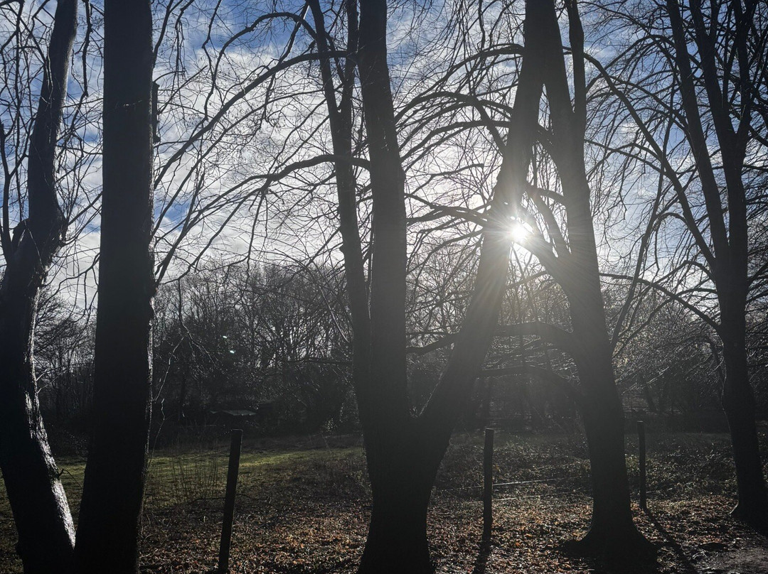 Silent Pool Distillers-Albury必去景点