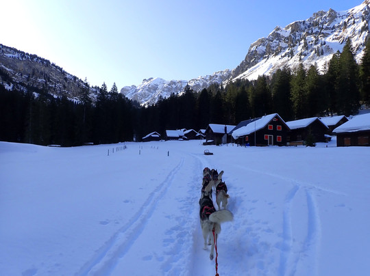 Fischer Adventures Day Tours-圣加仑必去景点