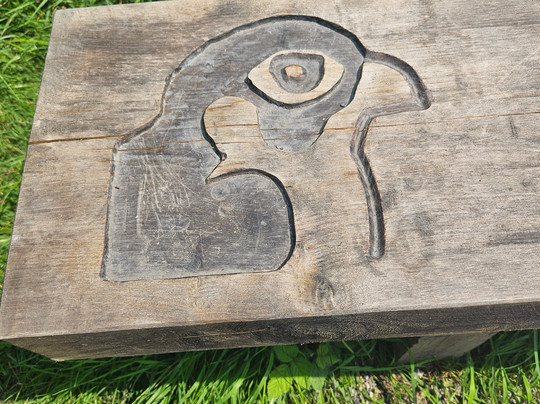 Plymbridge Woods-普利茅斯必去景点