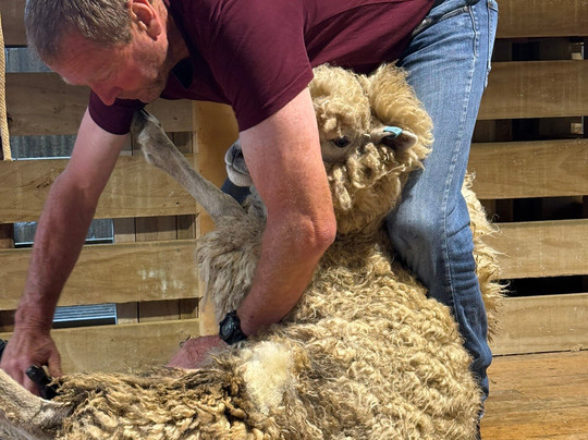 Woodstone Farm, Te Anau, New Zealand-蒂阿瑙必去景点