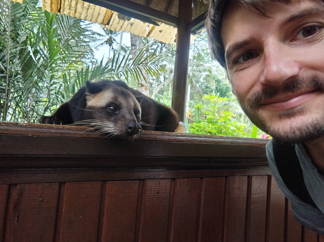 Bali Fun Bike Adventure-Pejeng Kaja必去景点