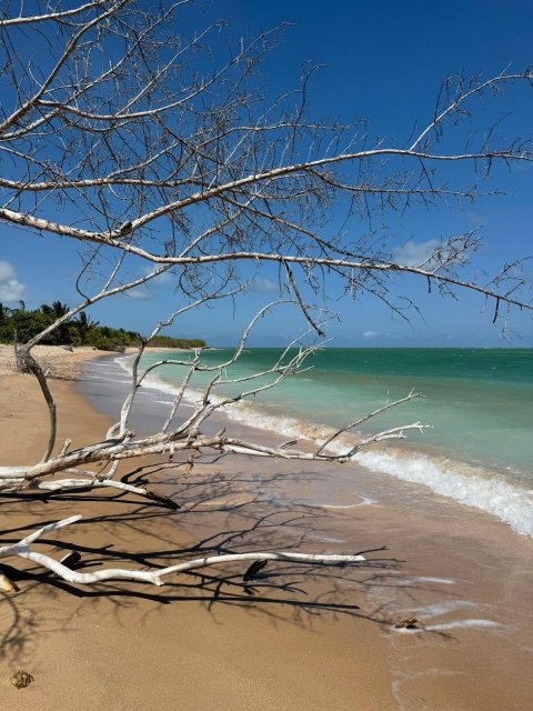 Angá Beach Hotel-泳池