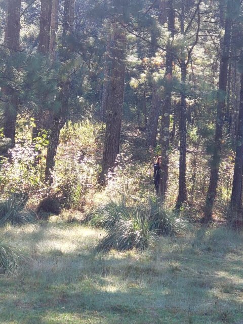 Club Campestre Paraiso Monarca-官方