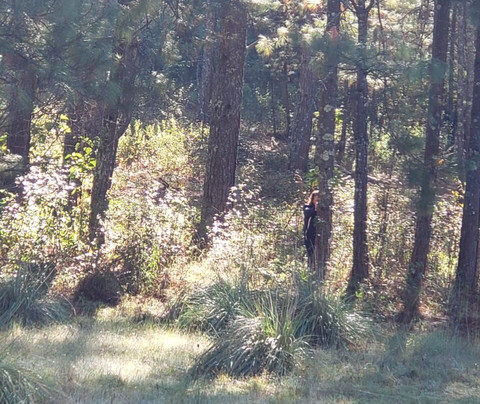 Club Campestre Paraiso Monarca主图