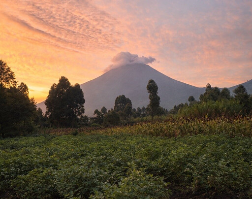 Gorilla Trek Africa-吉佳利必去景点