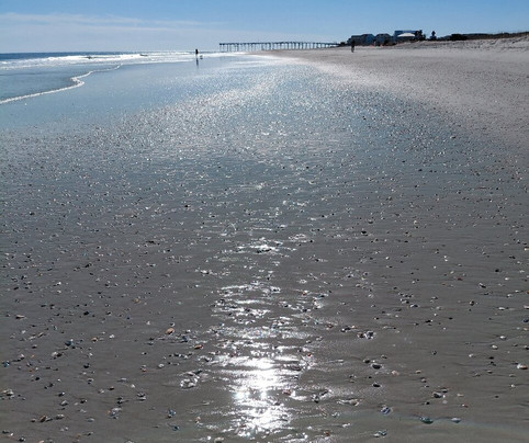 Freeman Park-卡罗来纳比奇必去景点