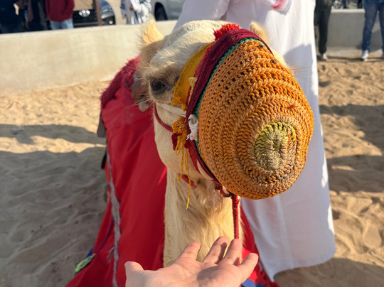 Falcon Tours-多哈必去景点