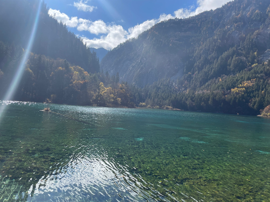 成都紫百合酒店（犀浦地铁站西南交大店）主图