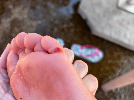 Blue Park Aquático-伊瓜苏必去景点