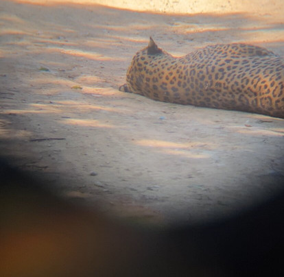 Eddy's Expeditions-加勒必去景点