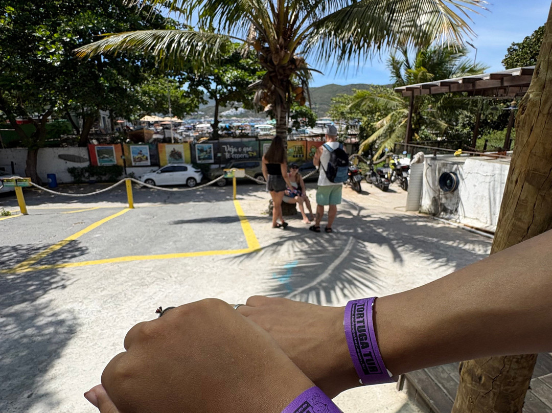 Tortuga Tur-阿拉伊阿尔港必去景点