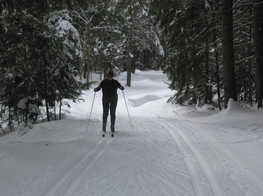 Lapland Lake Cross Country Ski Center-Northville必去景点