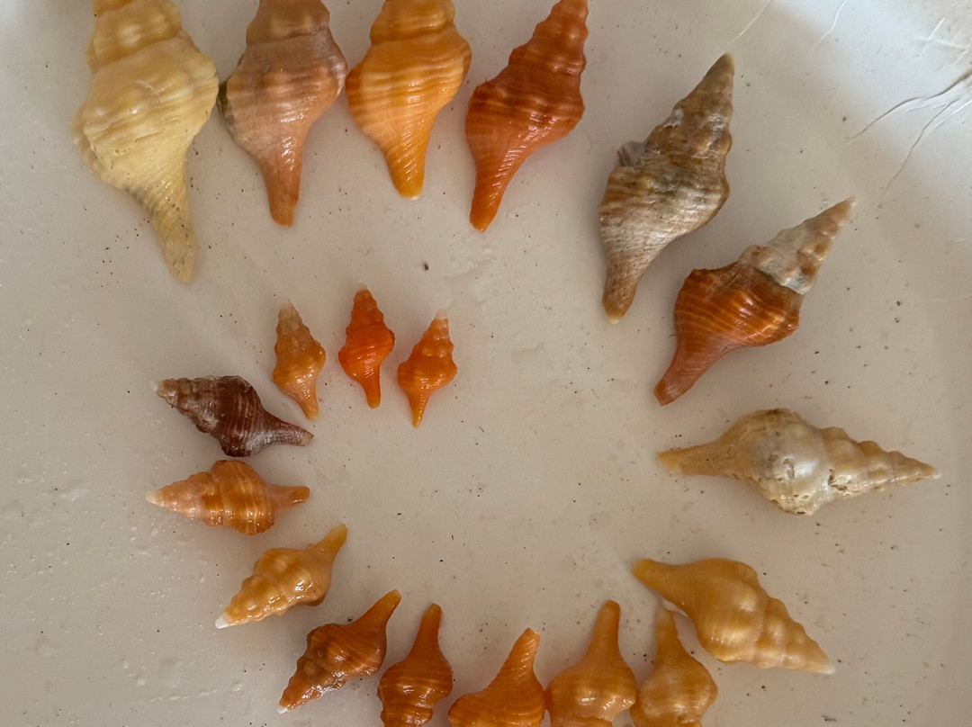 Reel Kind Fishing and Tours-Goodland必去景点