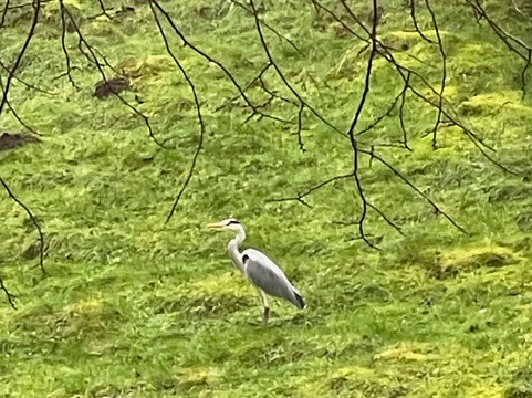 Stanshope Hall主图