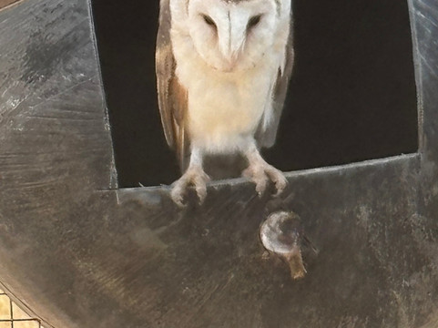 Softfoot Farm & Wildlife Park-Hindmarsh Valley必去景点