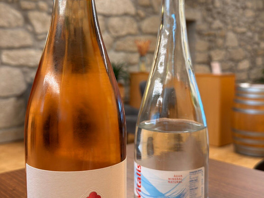 Lusovini - Vinhos de Portugal-Nelas必去景点