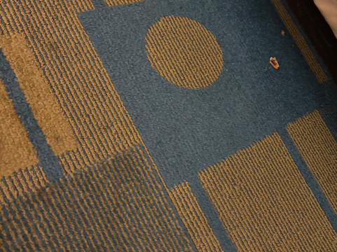 La Quinta Inn & Suites by Wyndham Plattsburgh主图