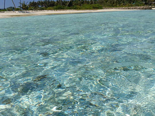 The Bilimbi Guesthouse & Inn主图