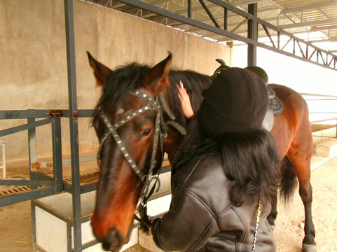 Almaty Nomads-阿拉木图必去景点