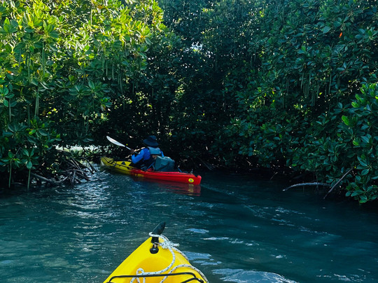 Sea Kayak Adventures-毛里求斯必去景点