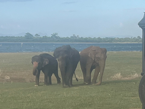 Didu Lanka Travels-科伦坡必去景点