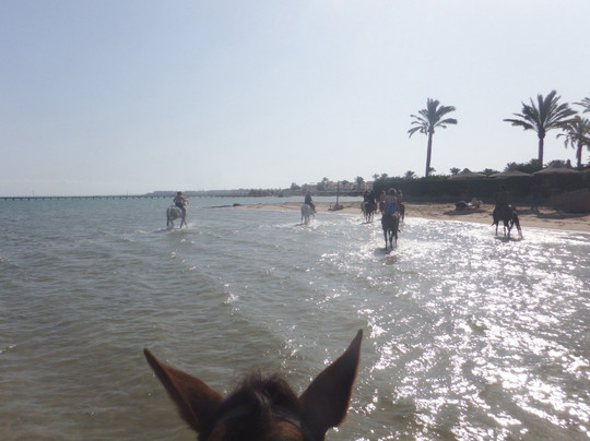 Ride Egypt-赫尔格达必去景点