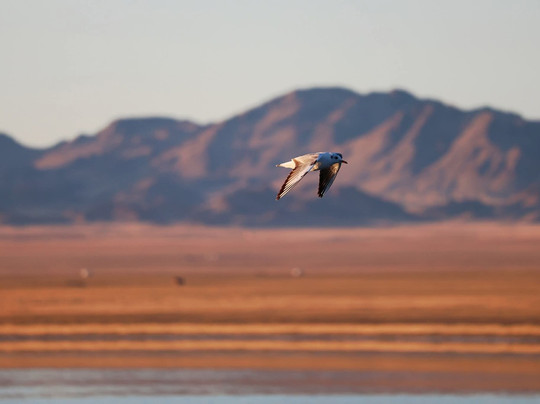 Mongolia Trekking-乌兰巴托必去景点