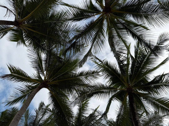 桑迪布瑞苏梅乡村俱乐部-湄南必去景点