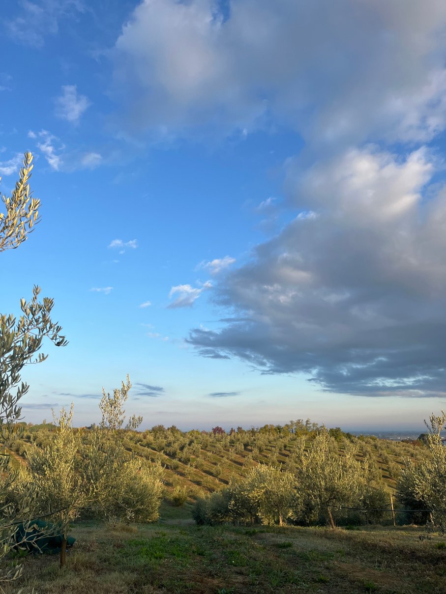 Agriturismo La Rinaldina-官方