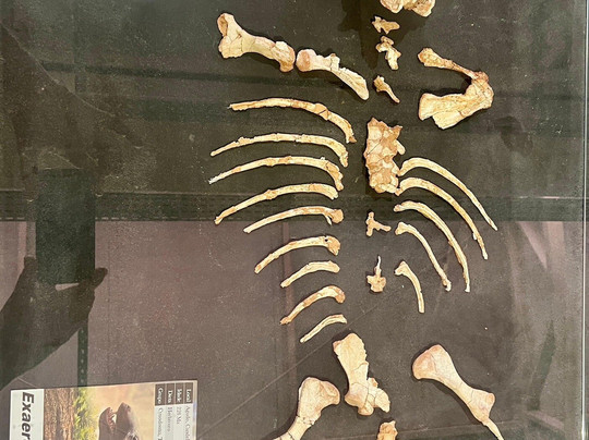 CAPPA-Centro de Apoio à Pesquisa Paleontológica da Quarta Colônia-Sao Joao do Polesine必去景点