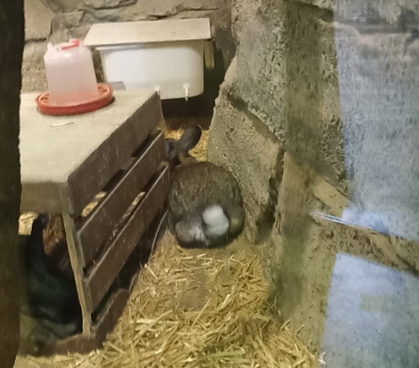 Aqua Vega Aquarium-安卡拉必去景点