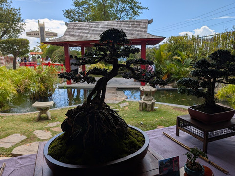 Jardín Japonés (Japanese Garden)-庞塞必去景点