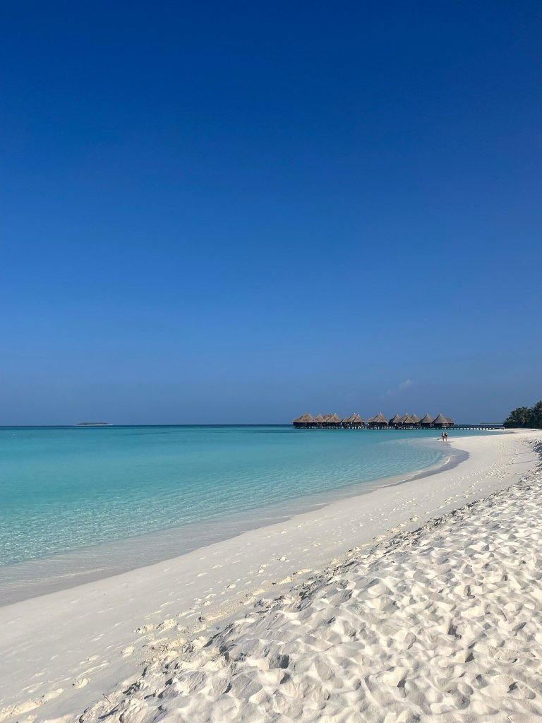 柯可棕榈杜妮科酒店-官方